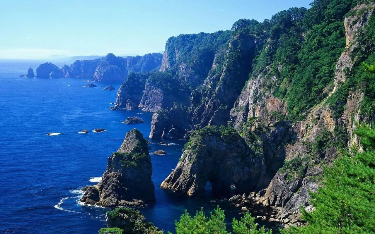信息化全自动自动化